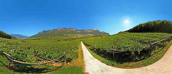 Motorcycle adventures: Motorcycle itinerary along the South Tyrol Wine Road 2
